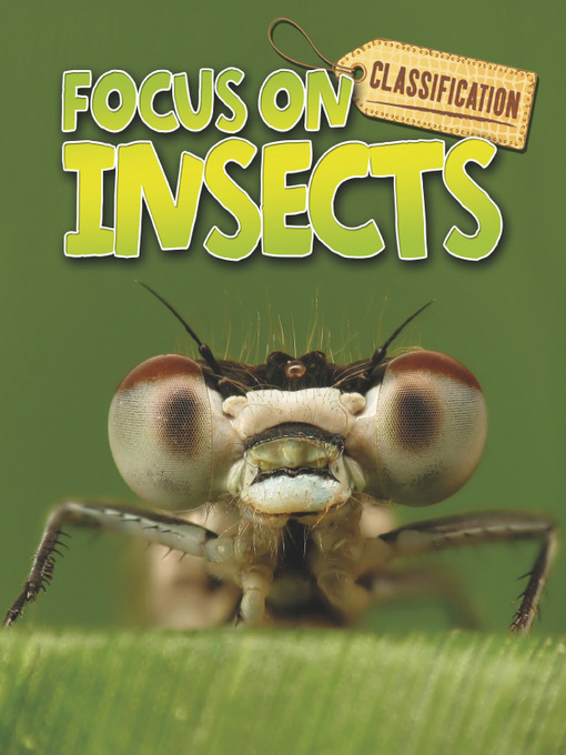 Title details for Classification Focus on Insects by Stephen Savage - Available